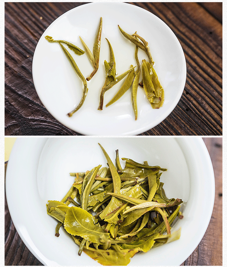 Supreme Early Spring Snowy Mountain Wild Silver Tips Yunnan Green Tea
