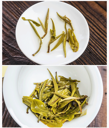 Supreme Early Spring Snowy Mountain Wild Silver Tips Yunnan Green Tea
