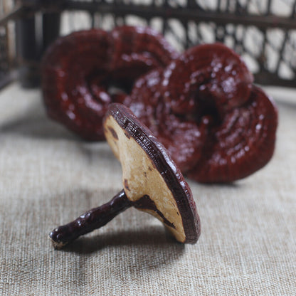 Dried Wild Lingzhi Purple Ganoderma Lucidum Herbal Reishi Mushroom 500g