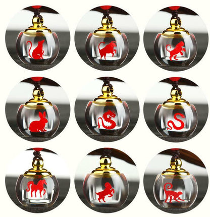 Stainless Steel Chinese zodiac Airtight Container Pendant Necklace Chain Gifts