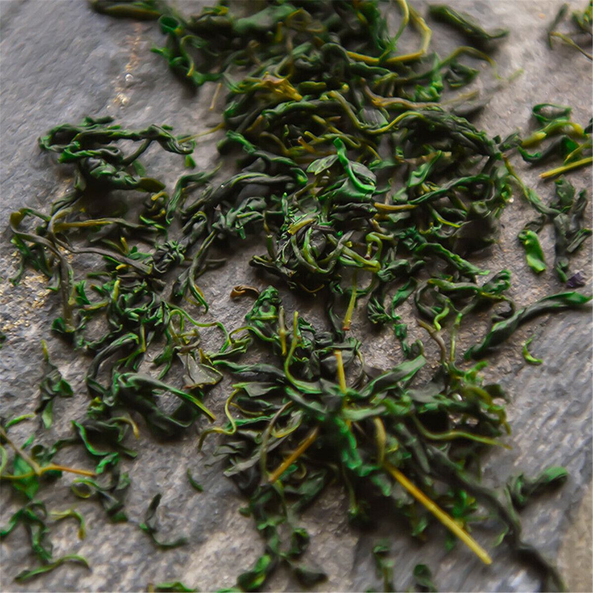 Pure Natural Kuding Tea Herbal tea Qingshanlvshui Small-leaved New Scented Tea