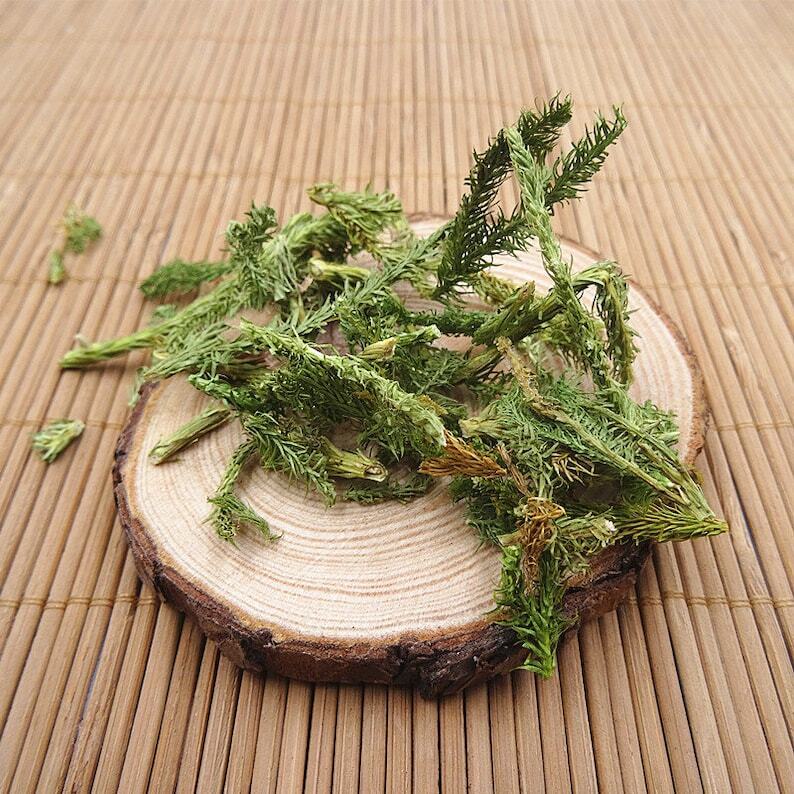 250 GR Shen Jin Cao Common Clubmoss Herb 伸筋草