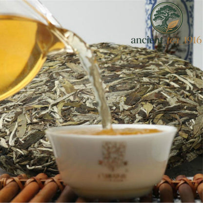 350g Premium Silver Needle White Tea Cake Natural