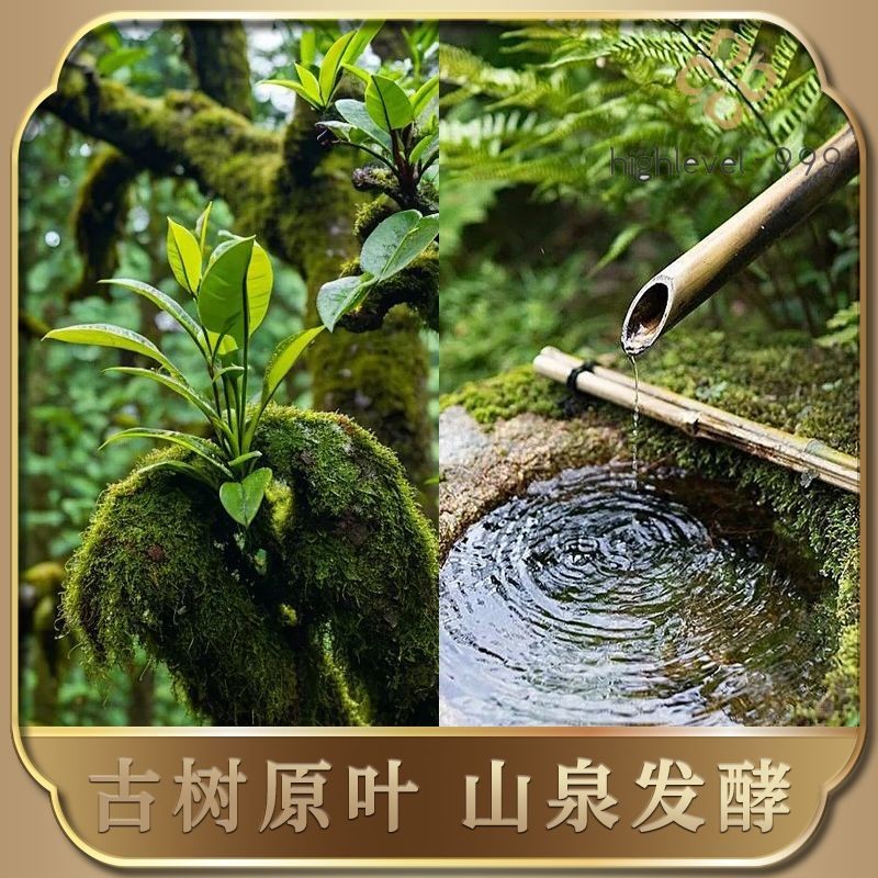 1000G 2005 Banzhang Pu'er Tea Pu'er Tea Brick Yunnan Ancient Tree Tea Cake -