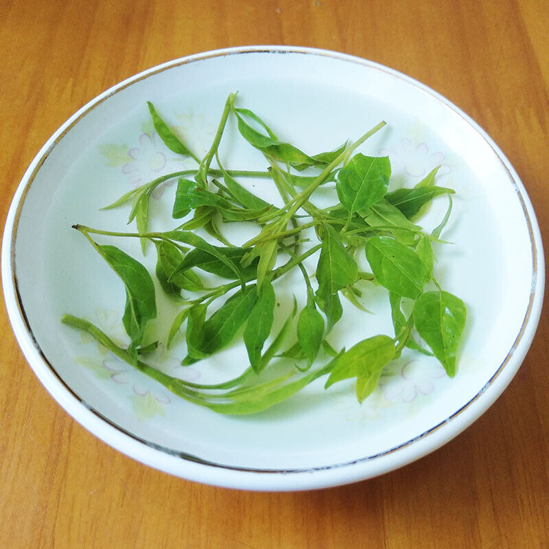 pure-Small-Leaf-Kuding-Bitter-Tea-wild-qing-shan-lu-shui-buds-Herbal-Green tea