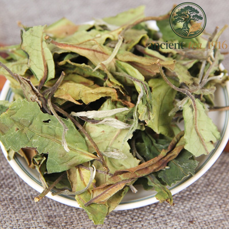 500g Yunnan White Tea Big Leaf Honey Flavor Natural Herbal Tea