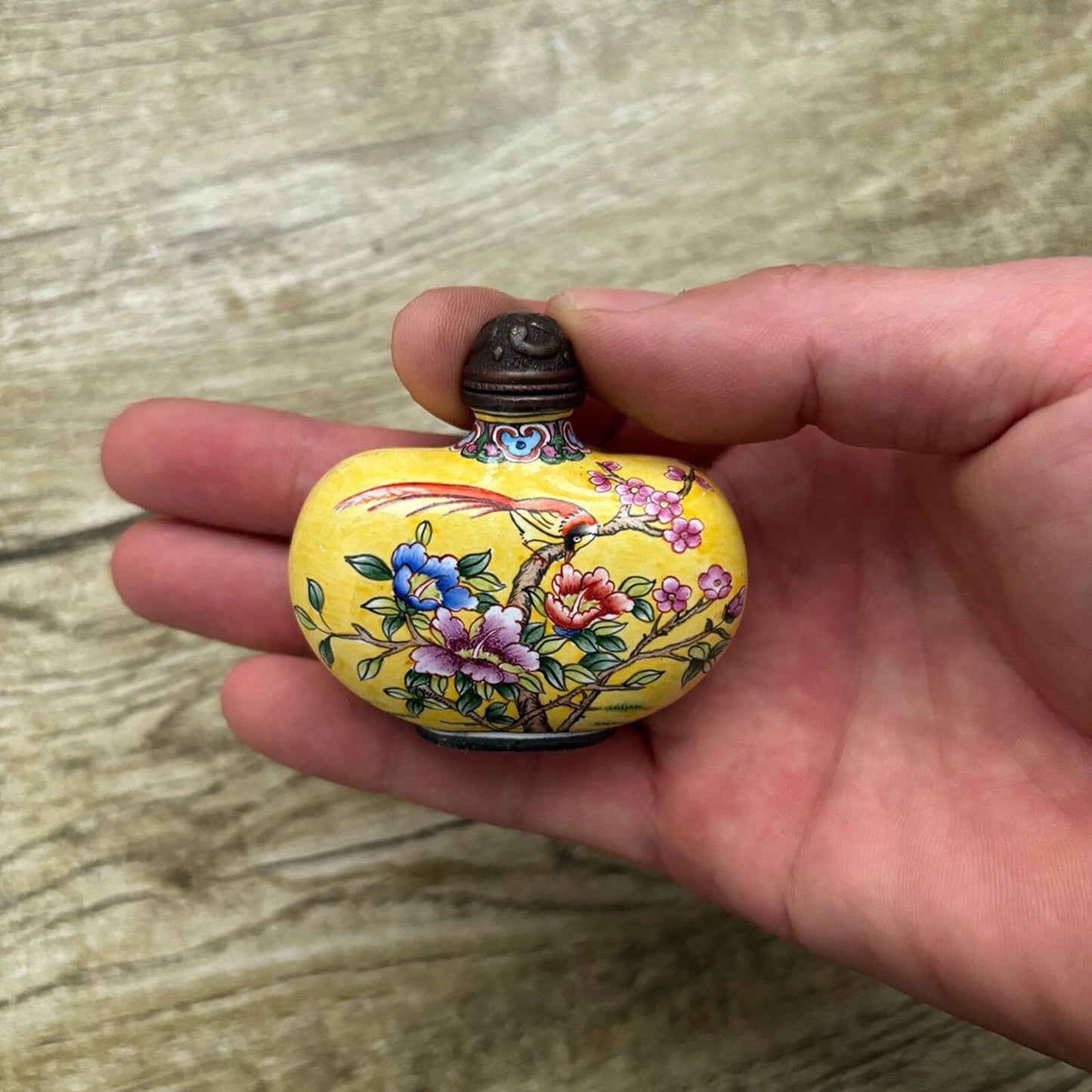 Old Beijing Chinese Cloisonne Snuff Bottle Enamel Painted Flower Bird Landscape