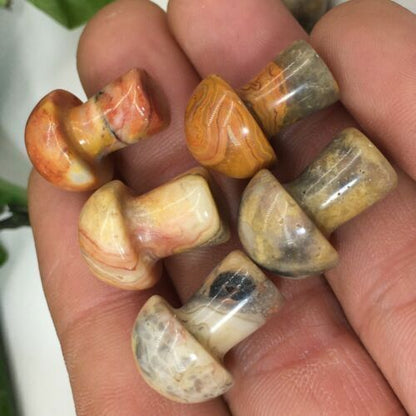 10pc Natural Crazy agate Quartz hand Carved mushroom crystal Reiki healing