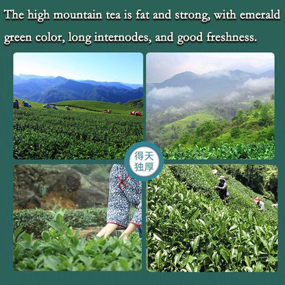 Milk Oolong Tea Original Good Tea Natural Organic Oolong Tea No Additives