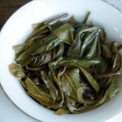 Plum turnip potted pond ancient tree raw tea cake cold plum aroma and deep charm