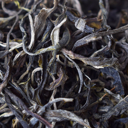 Handmade Spring JingMai ancient puerh trees tea Raw pu-erh Uncooked puerh