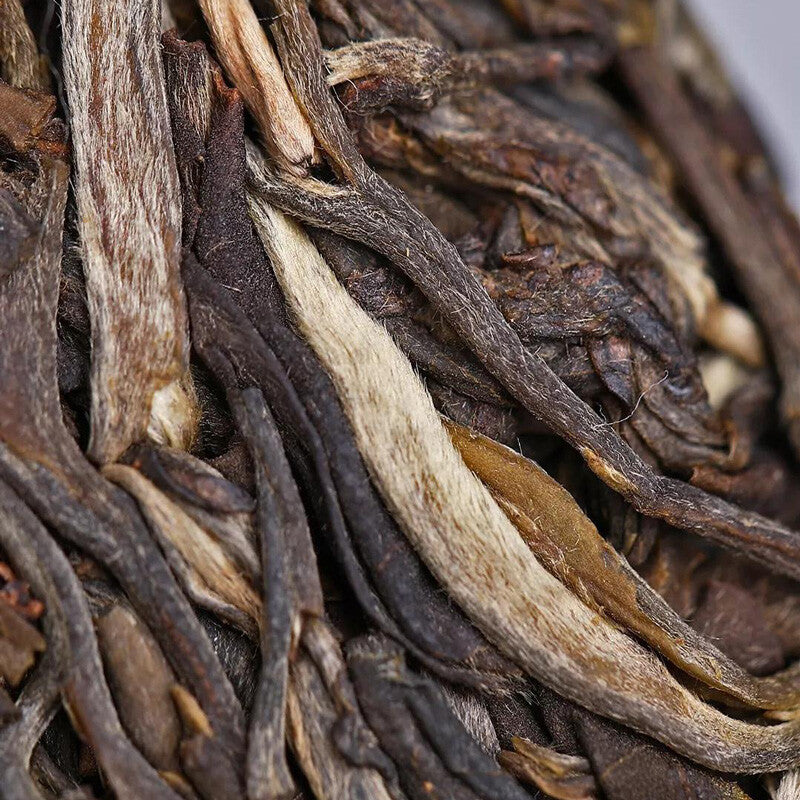 2019 Bay Old Comrade 7548 Pu'er Tea Cake, Old Comrade Raw Pu'er God 357g -