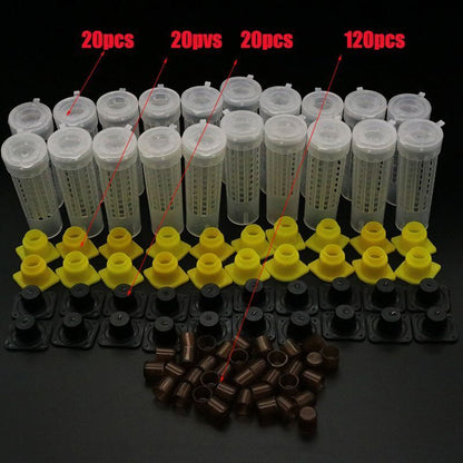 Beekeeping Kit Queen Bee Rearing System Larva Move Cage Beekeeper Supplies