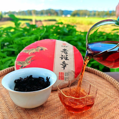 Pu-erh Puer Puerh Tea 357g 2003 Yunnan Menghai Banzhang Ancient Tree Ripe Cake