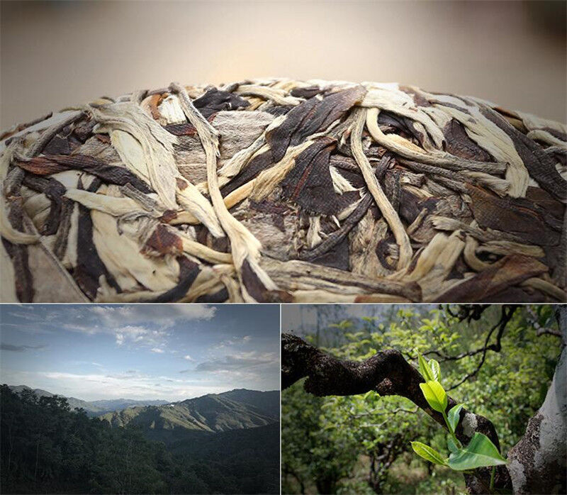 357g Moonlight Sheng Pu-erh Cha Puerh Tea Organic Moonlight Beauty Menghai Puer