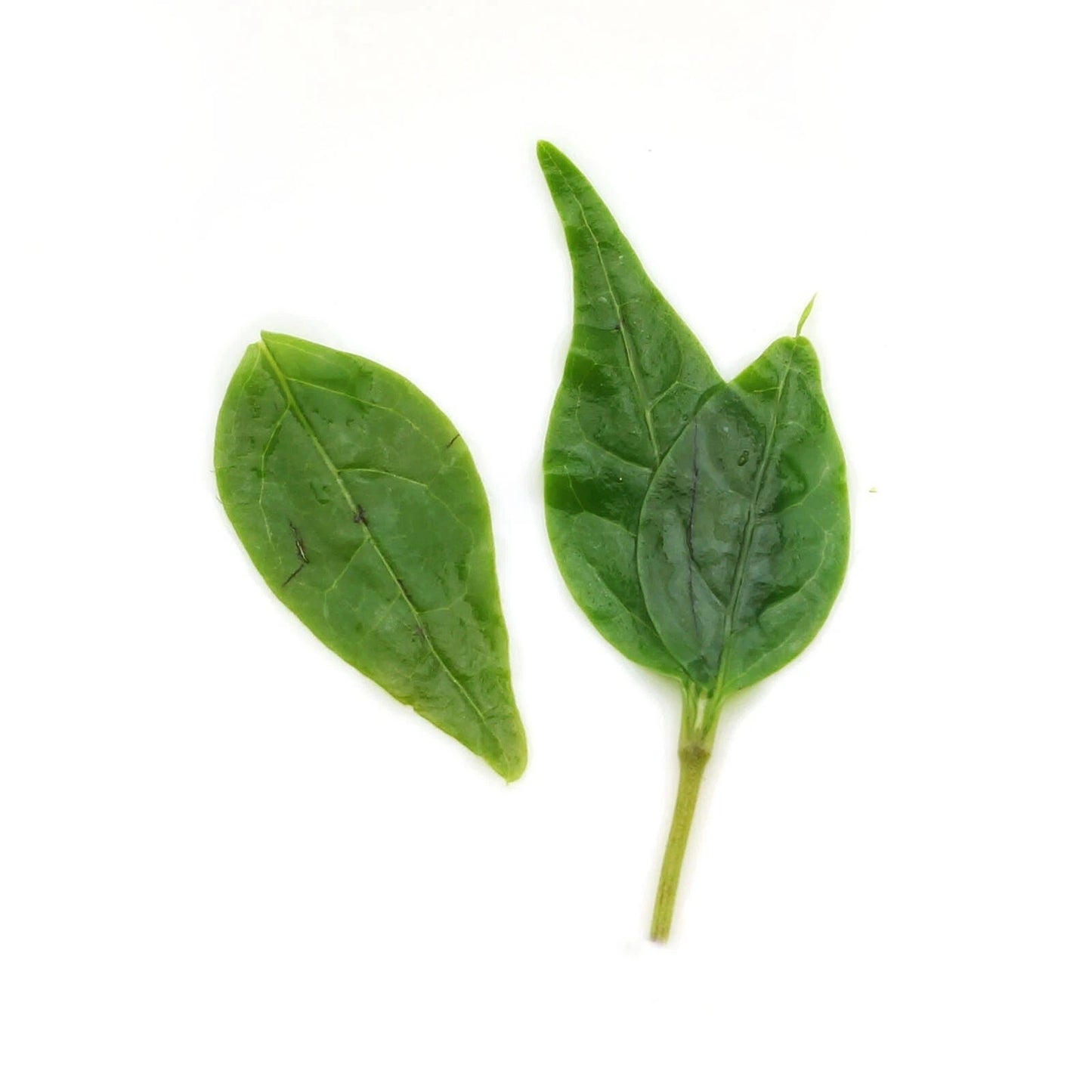 1000g Premium Kuding Bitter Herbal Green Tea Qingshan Lushui Loose Small-leaf