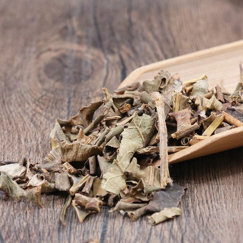 Organic Herbal Pyrrosiae Folium Pyrrosia Lingua Great Quality