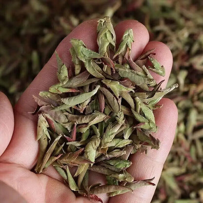 High Quality Yunnan Raw Puer Tea Purple Buds Unfermented Pu Er Buds Loose Tea