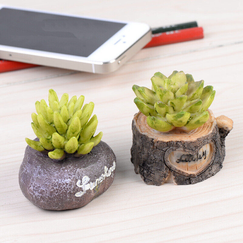 Figurines Craft Mini Simulation Resin Succulents Models Garden Famous Home Decor