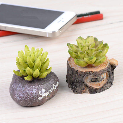 Figurines Craft Mini Simulation Resin Succulents Models Garden Famous Home Decor