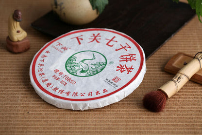 Xiaguan T8653 Iron * 2013 XiaGuan Pu'er Puer Puerh Raw Sheng Shen Cake Tea 357g