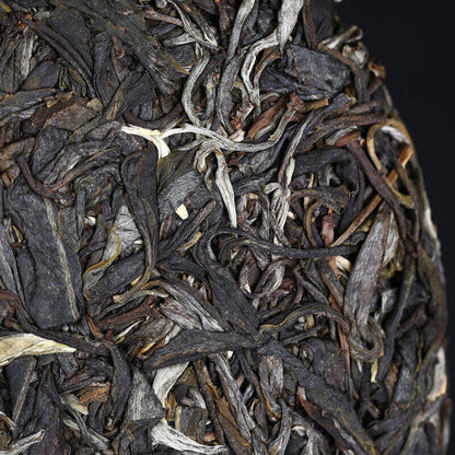 2022 Haiwan Sheng Puer Tea Dong Guo Village Ancient Tree Raw Pu-erh Tea 500g