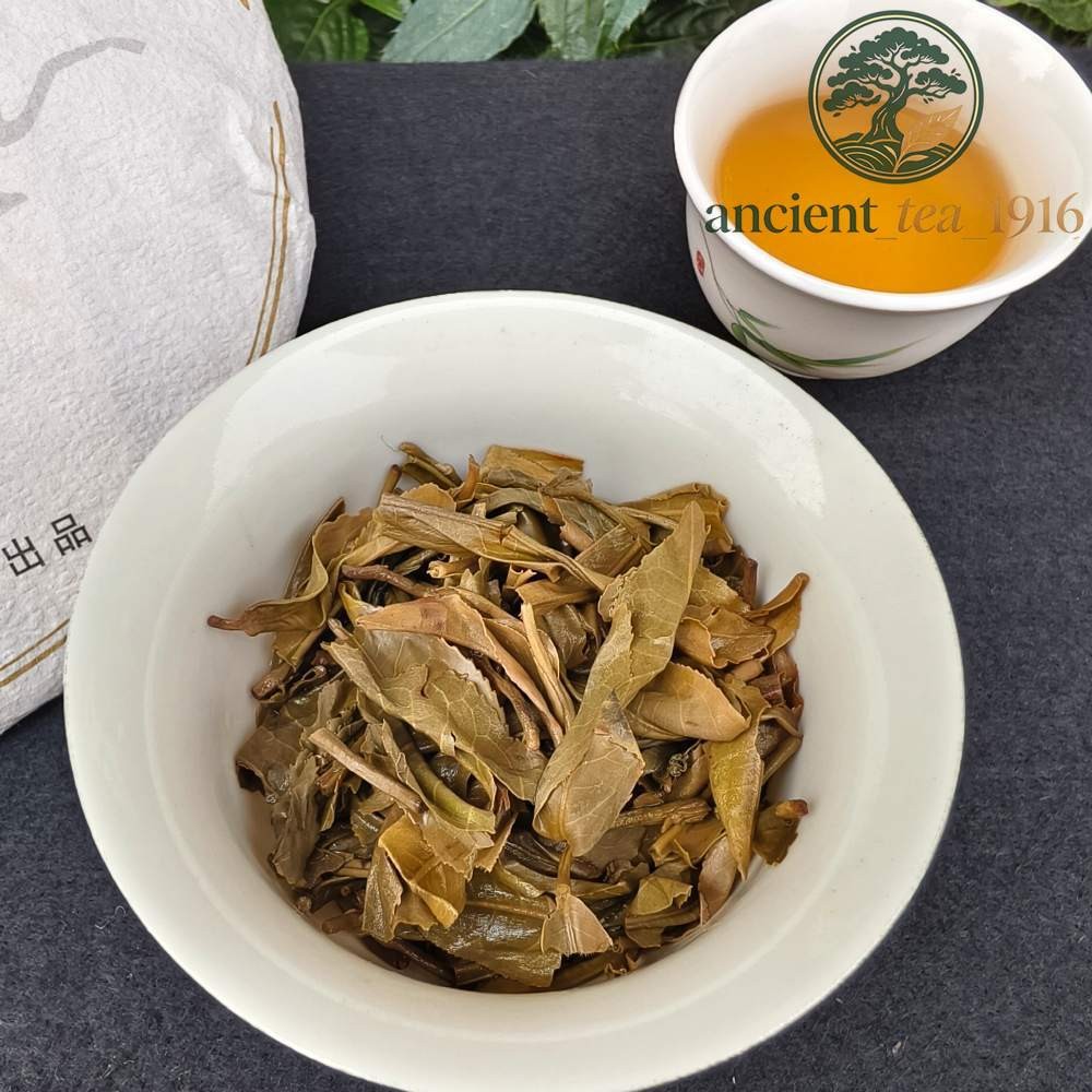 357g 2021 Ancient Tree Spring Pu'er Yunnan Raw Tea Cake
