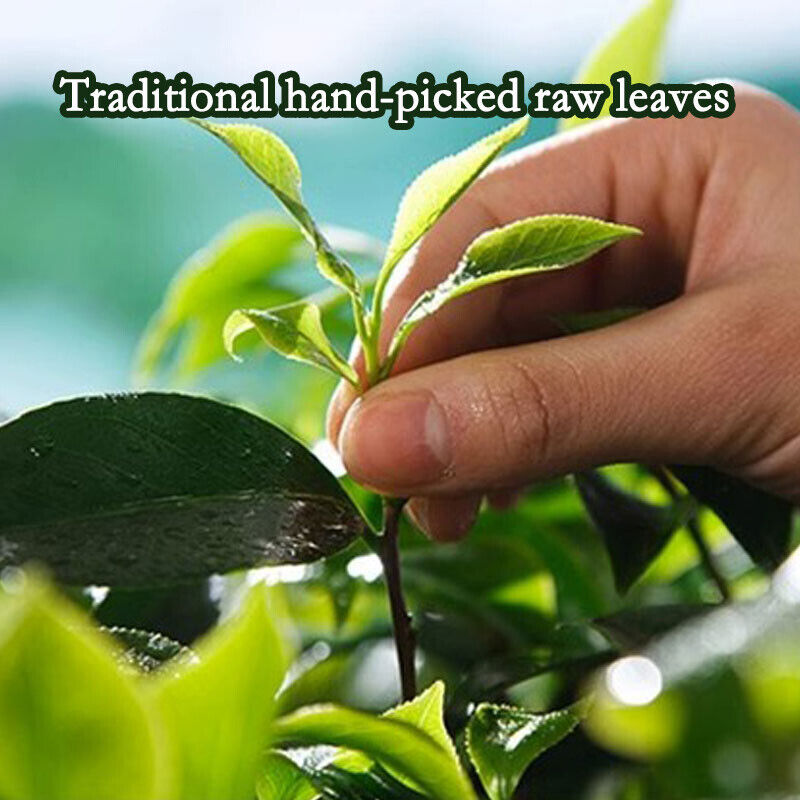 Taiwan Oolong Tea Organic Jin Xuan Milk Oolong Taiwanese Oolong Tea Milk Tea