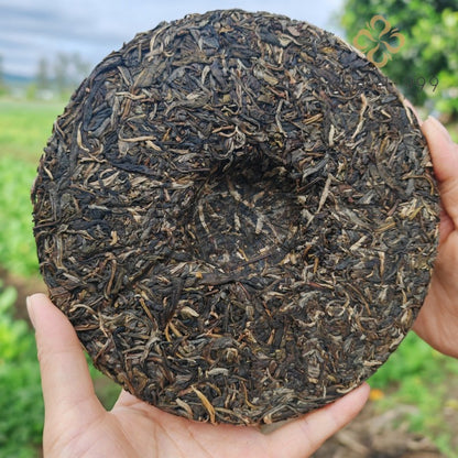 357g Laobanzhang Raw Pu'er Yunnan Bulang Mountain Early Spring Qizi Tea Cake