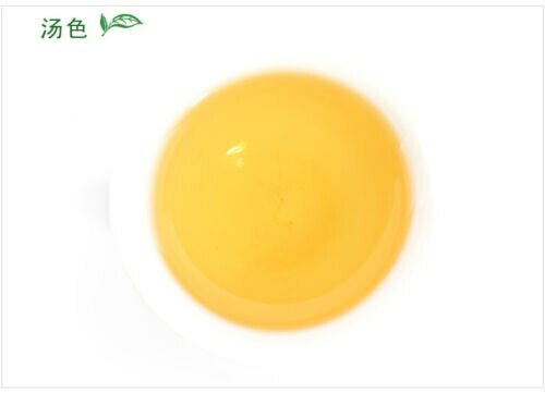 Strong Aroma Flavor 599 * Premium Anxi Tie Guan Yin Tea Tieguanyin Green Tea 250