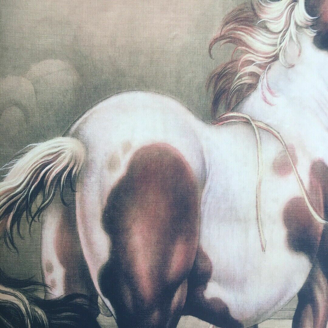 Chinese Old Scroll Lang shining - horse Pictures Painting Rice Paper Painting