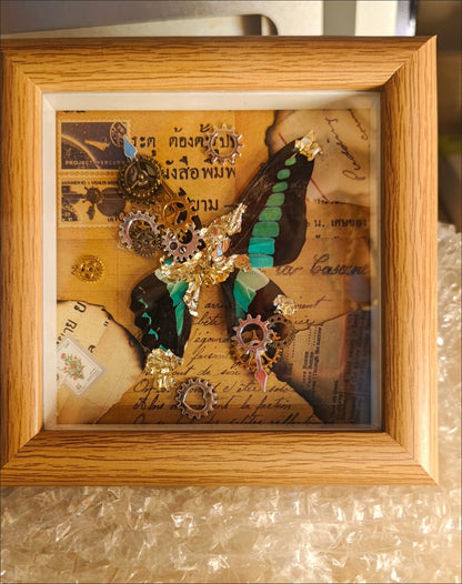 Steampunk Gold Leaf Real Butterfly Frame Chloris Swallowtail Specimen Gift