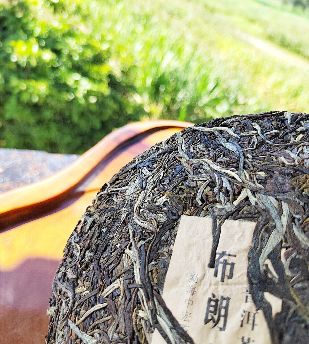 Menghai Pu'er Tea Brangshan Early Spring Arbor Pu'er Raw Tea 357g