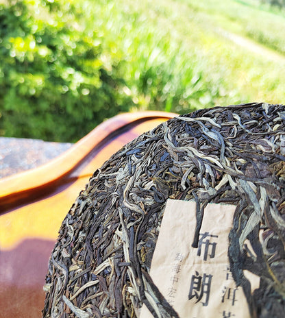 Menghai Pu'er Tea Brangshan Early Spring Arbor Pu'er Raw Tea 357g