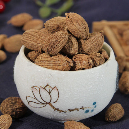砂仁 中药材Chinese herbal medicine of amomum kernel