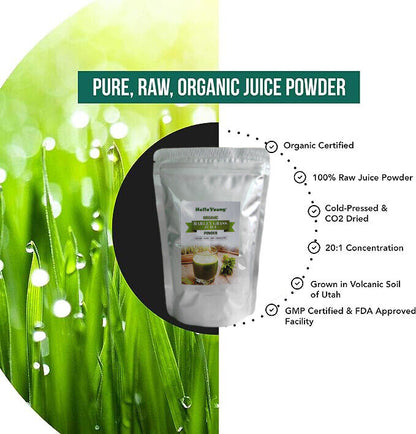Barley Grass Powder Green Tea Barley Grass Powdered Drink for Immunity Support