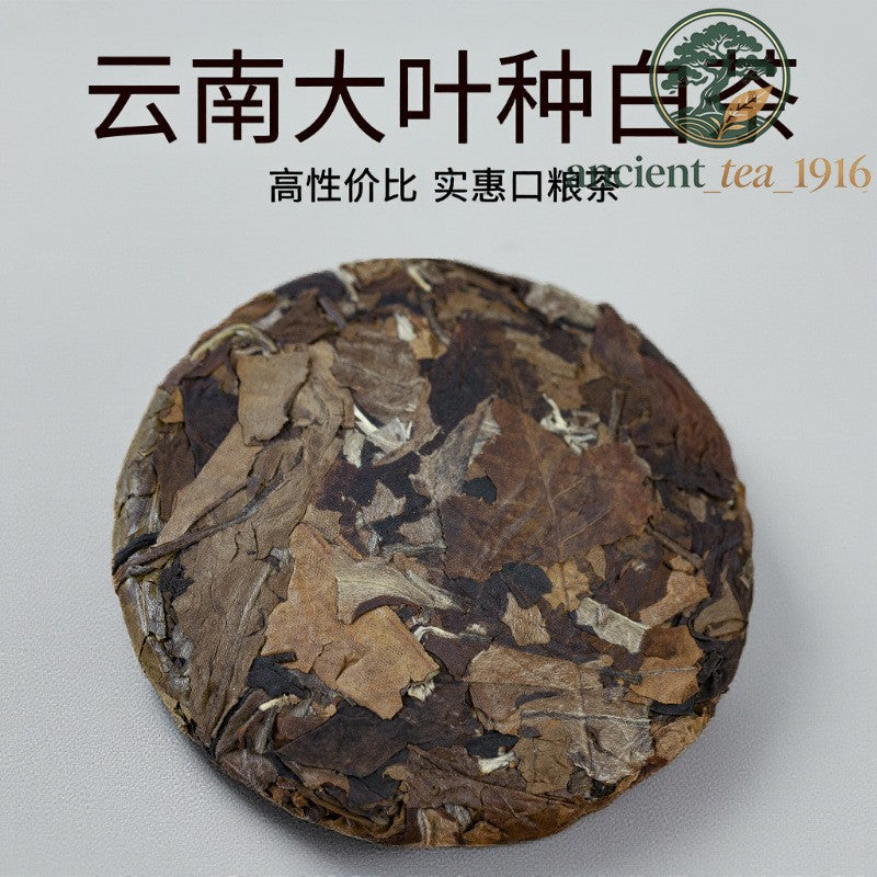 7pc*100g Yunnan Large Leaf Species Shoumei (a Type of White Tea) White Tea Cake