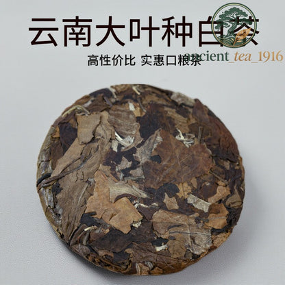 7pc*100g Yunnan Large Leaf Species Shoumei (a Type of White Tea) White Tea Cake