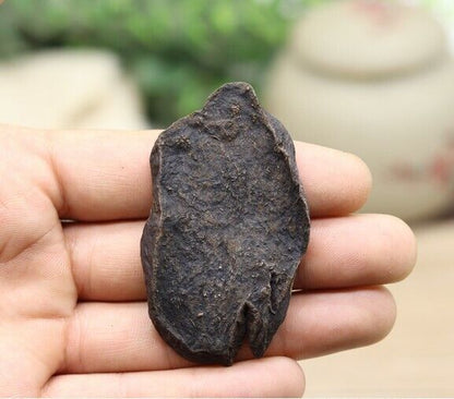 100% Natural China He Shou Wu Fo-Ti Polygonum multiflorum Loose Root Slice