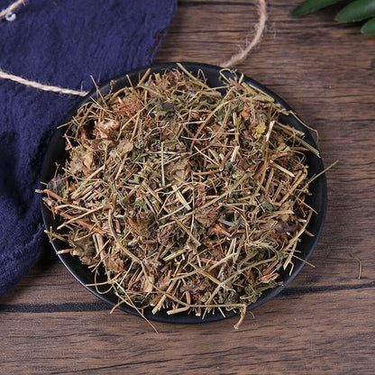 Organic Herbal Cardiospermum Halicacabum Lesser Balloon Vine Healthy Tea
