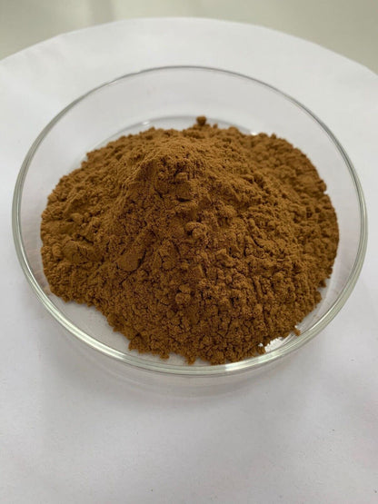 Lion's mane (Hericium erinaceus) mushroom puer extract powder (30:1)