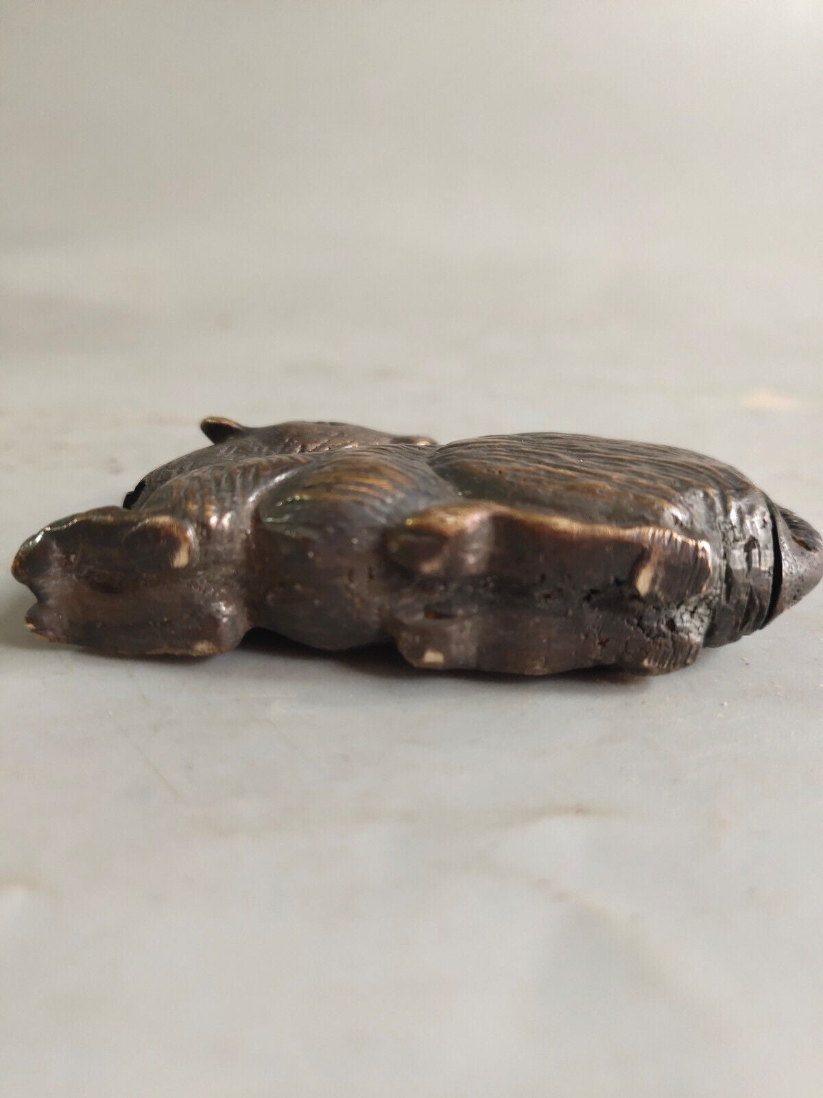 Early Collection of Mouse Old Locks in Ancient China