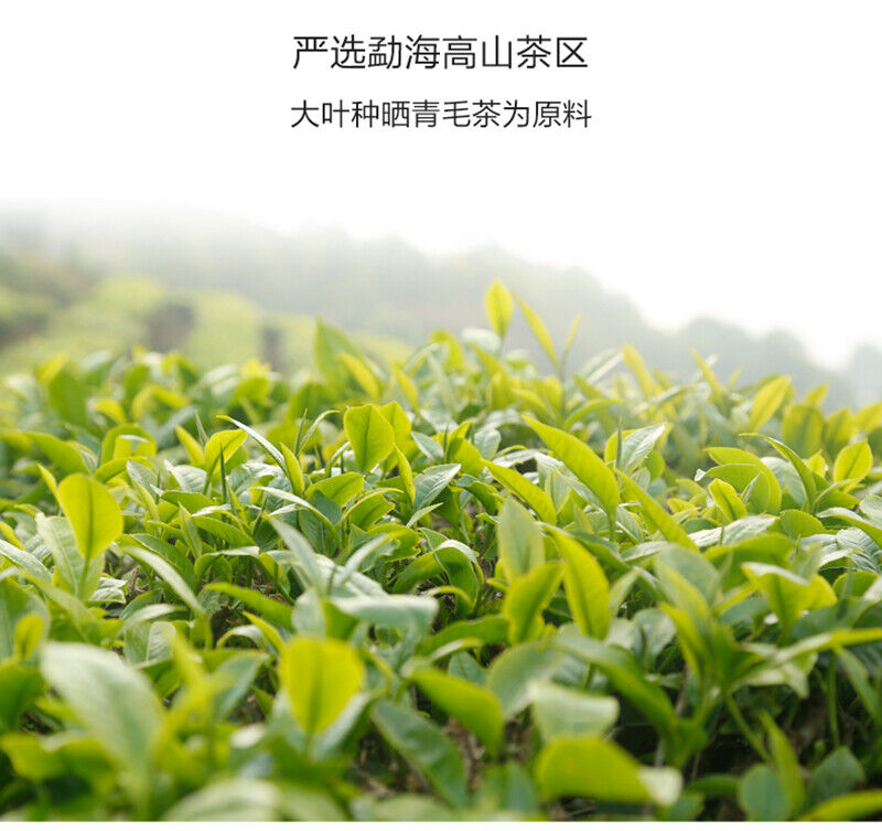 2021 Haiwan Old Comrade 7548 Batch 211 Pu-erh Tea Cake Sheng Puer Raw Pu'er 357g