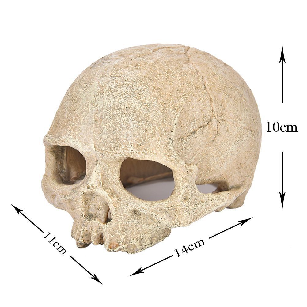 Simulation Head Skeleton Aquarium Resin Decorations Skull Bone Reptile Hide Cave