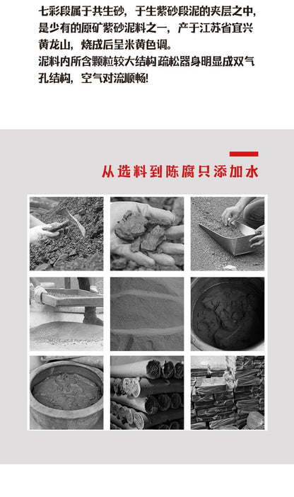 130cc chinese Yixing Handmade Zisha teapot Duan clay YouShi Gongfu Tea pot