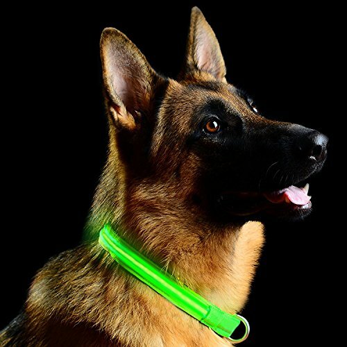 Green Light-Up LED Adjustable Pet Collar - Flashing or Steady Modes