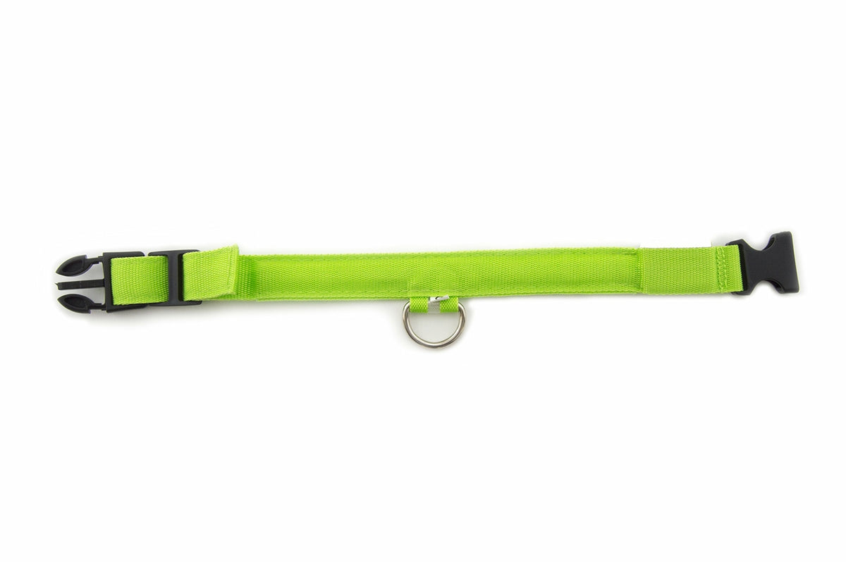 Small Green Light-Up LED Rechargeable Adjustable Pet Collar (Flashing or Steady)