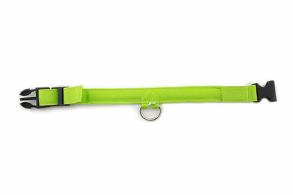 Small Green Light-Up LED Rechargeable Adjustable Pet Collar (Flashing or Steady)