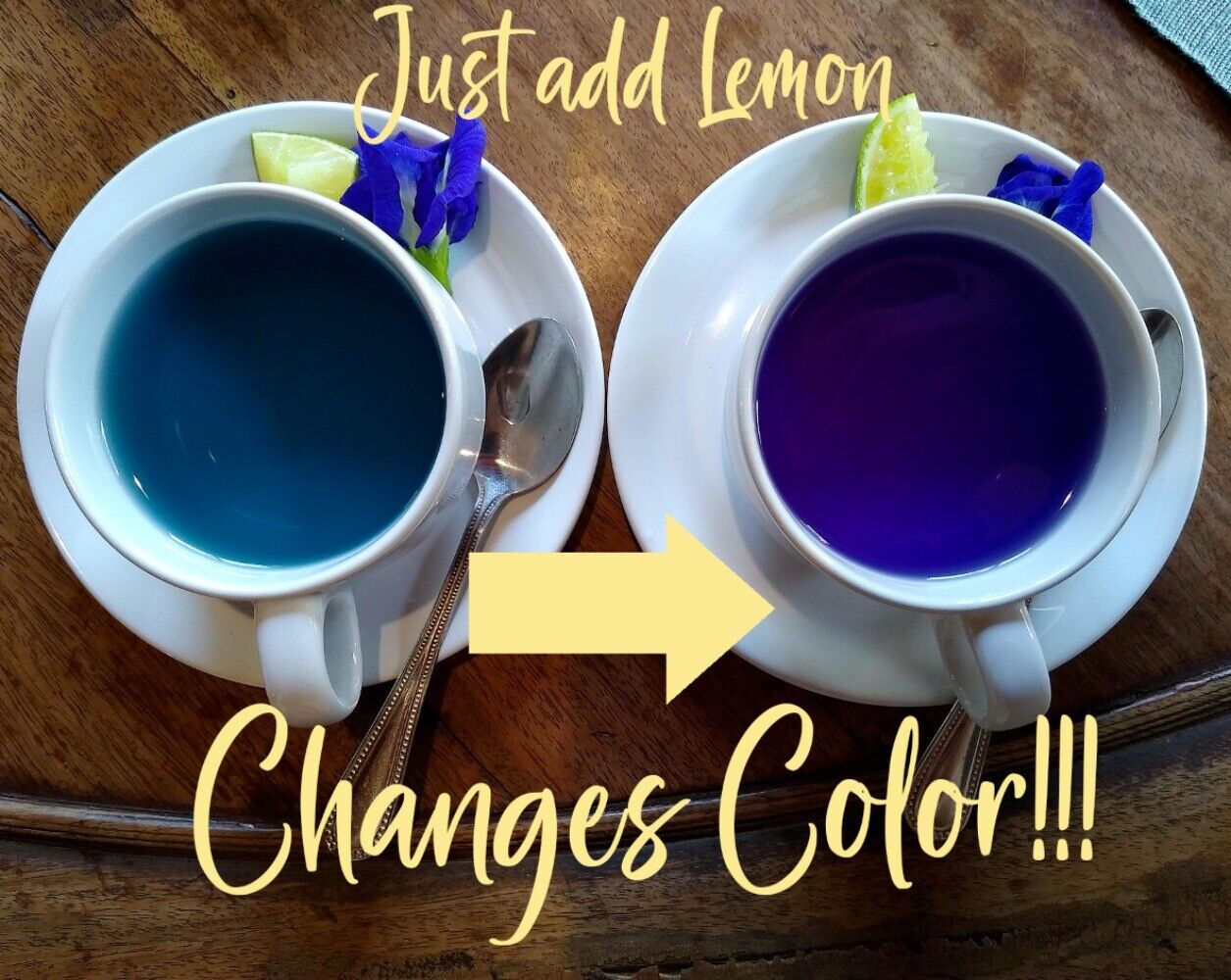 Butterfly Pea Flower Tea BLUE TEA Butterfly Pea Tea Clitoria Ternatea USA