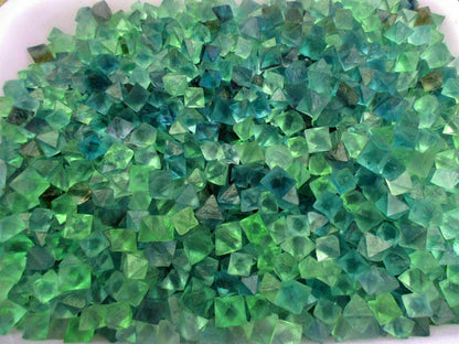1/2 lb Beautiful Blue & Green Fluorite Octahedron Crystals - Bulk Lot